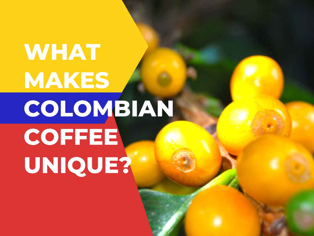 What Makes Colombian Coffee Unique Original Coffee Beans Pittsburgh