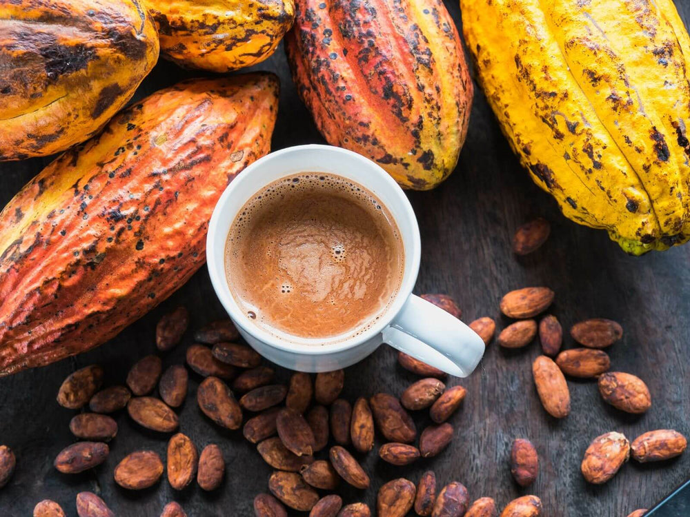 cacao-pods-beans-hot-chocolate-mug