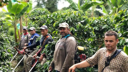 coffee farmers from Colombia