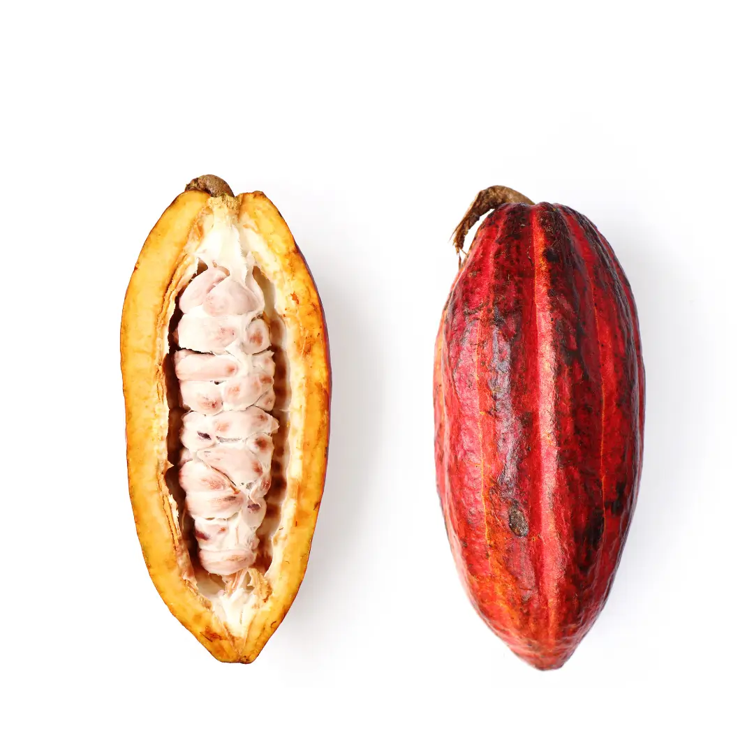 Drinking Chocolate 100% CACAO | Organic