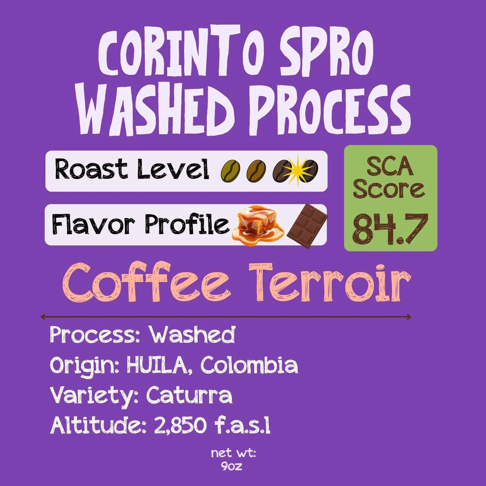 CORINTO SPRO | Castillo Washed | Med Dark