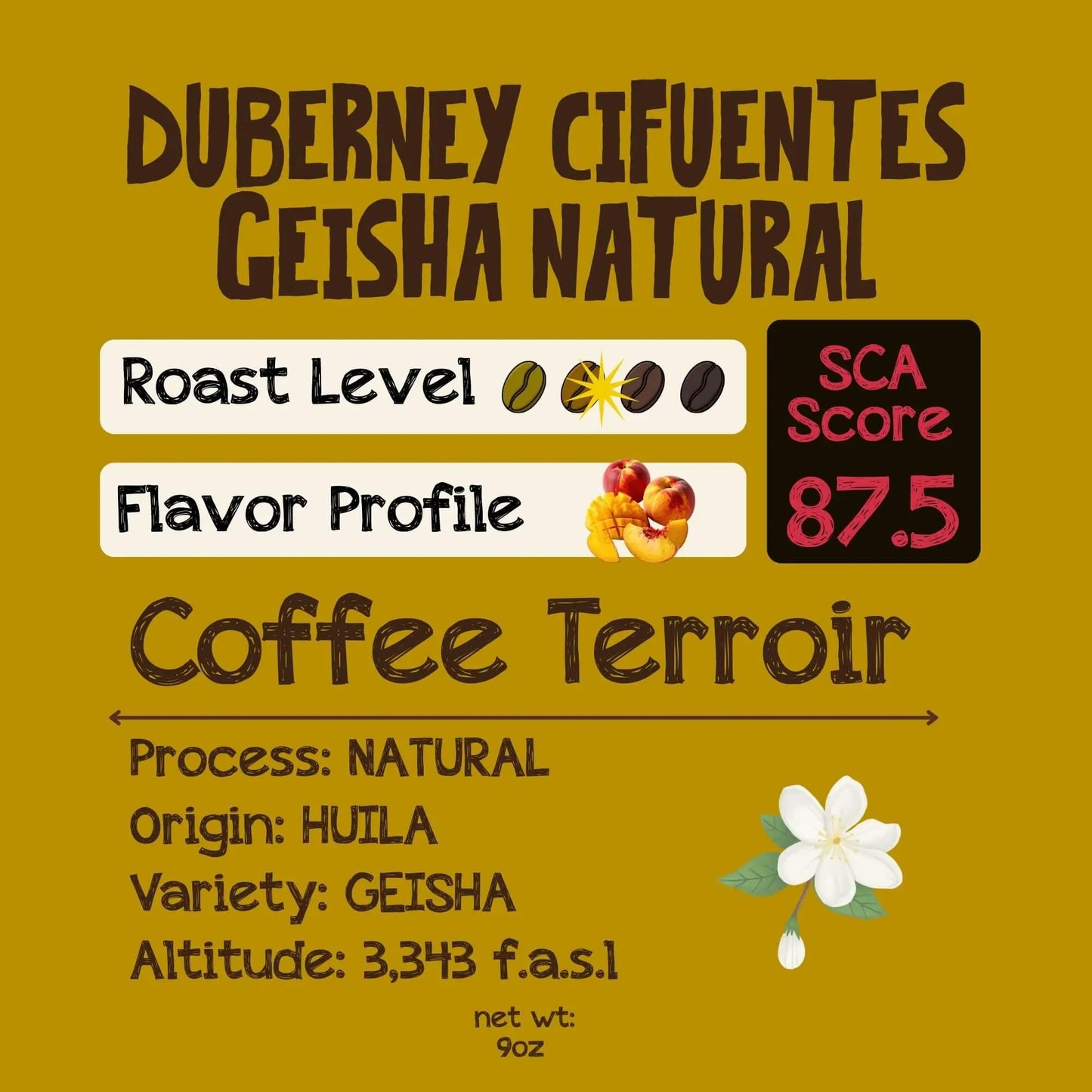 Duberney Cifuentes Geisha Natural | Light Med Roast