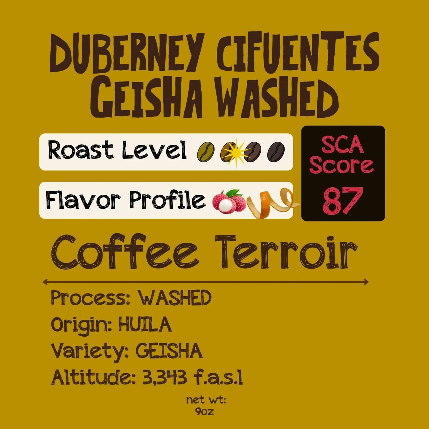 Duberney Cifuentes GEISHA Washed | Medium Light