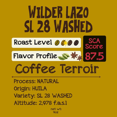 Wilder Lazo | SL28 Washed | Huila, Colombia