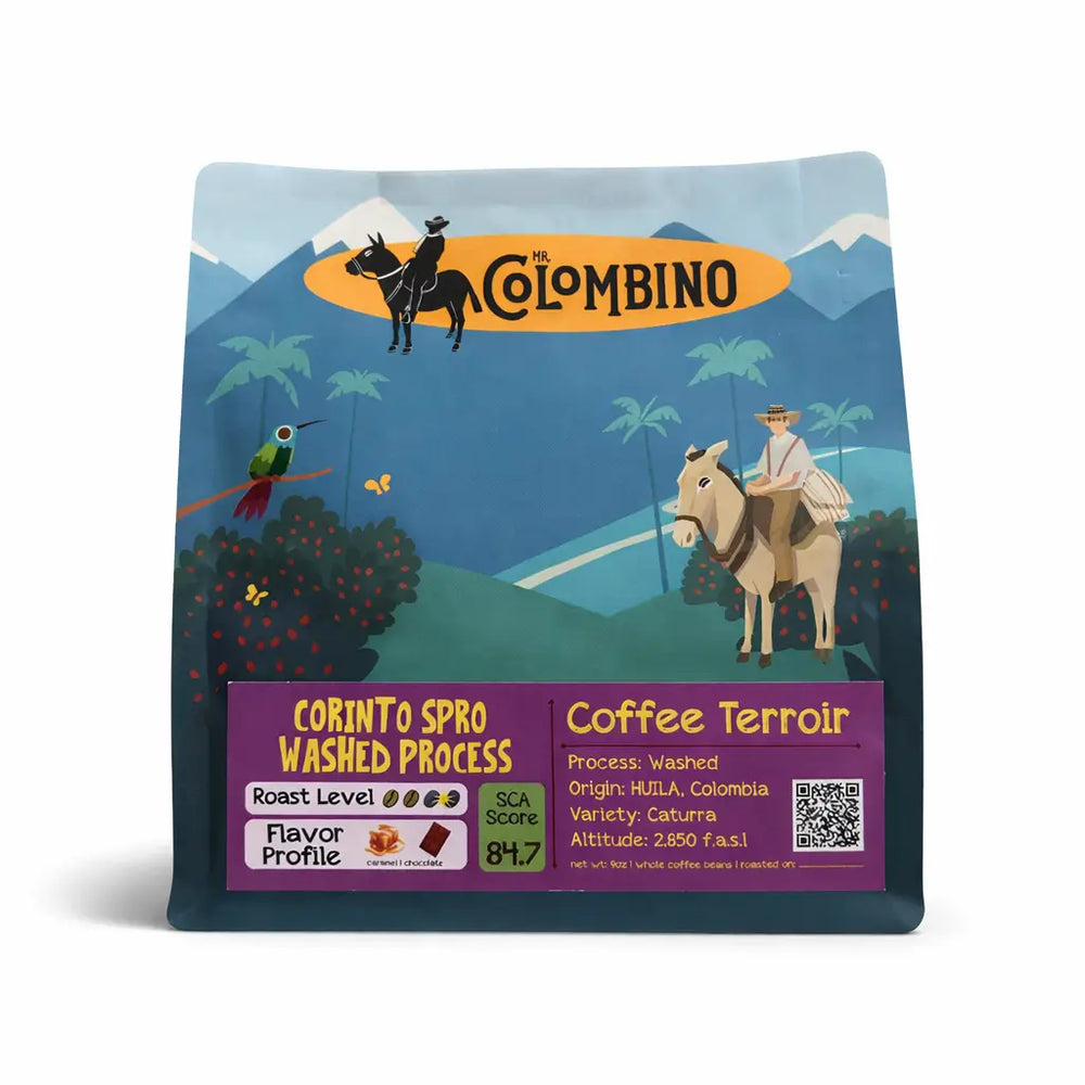 CORINTO SPRO | Castillo Washed | Med Dark