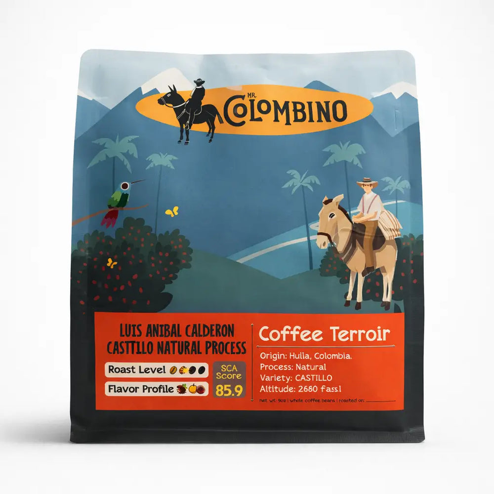 Luis Anibal Calderon Castillo Natural Process