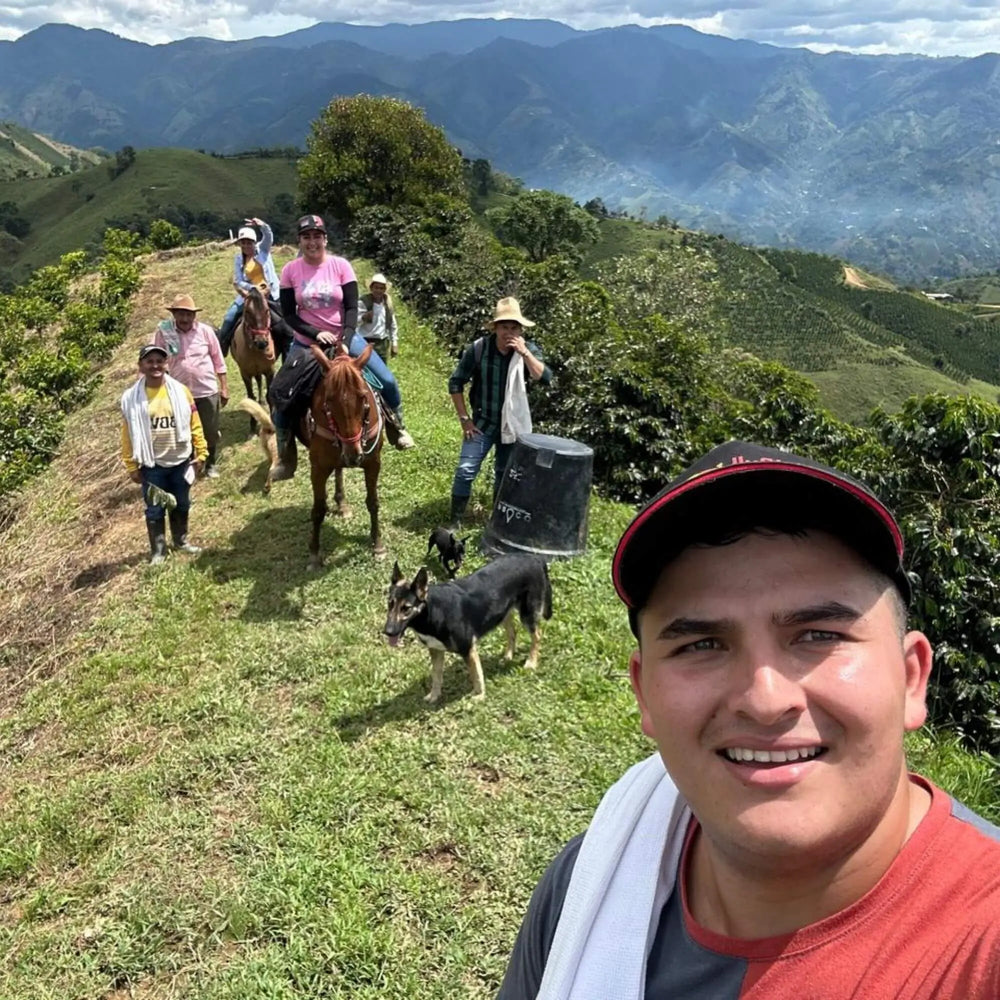Duberney Cifuentes | Geisha Washed | Huila, Colombia
