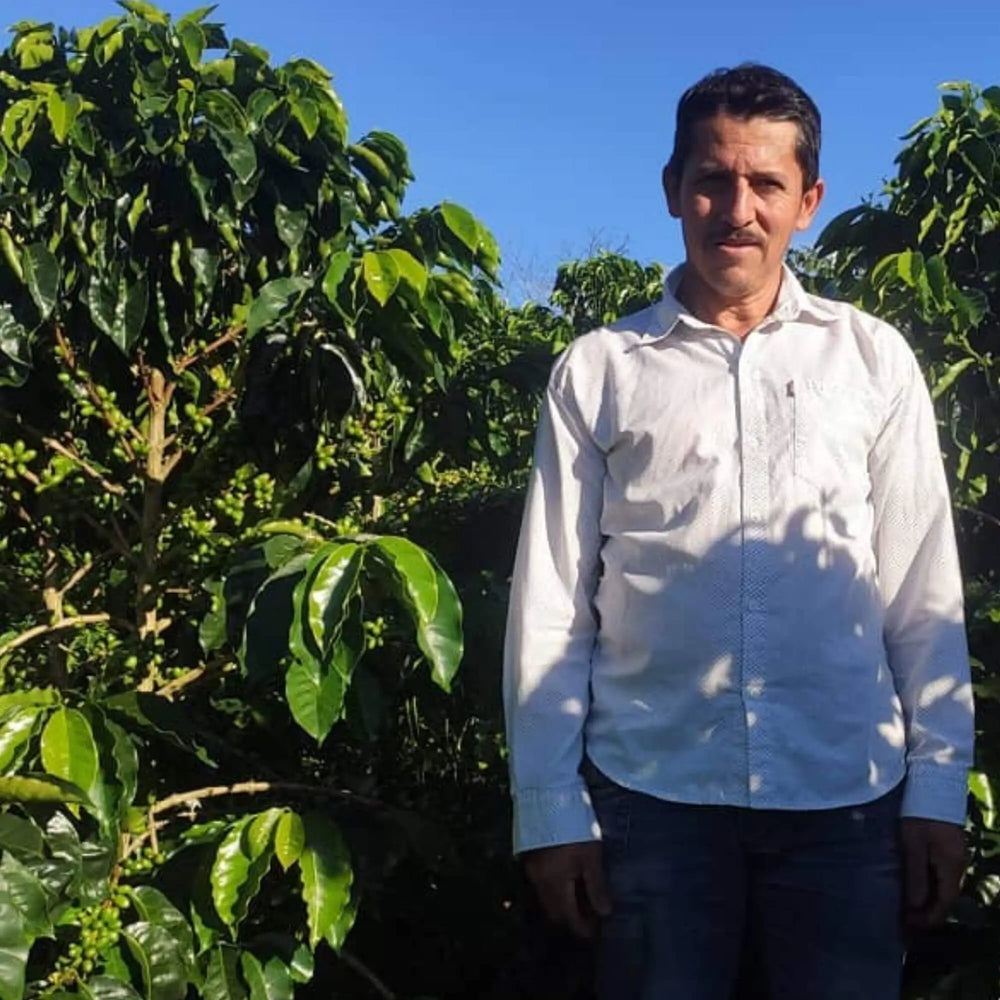 Luis Anibal Calderon Castillo Natural Process