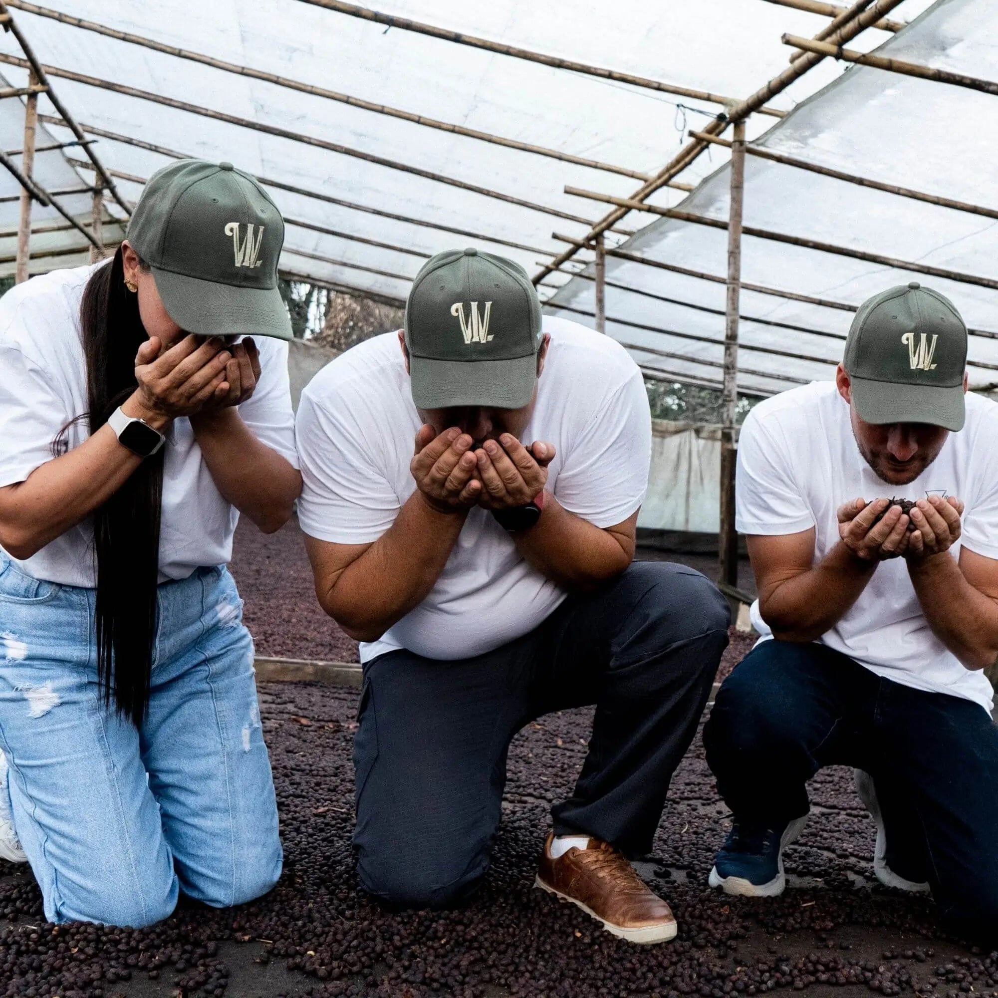 slideshow background